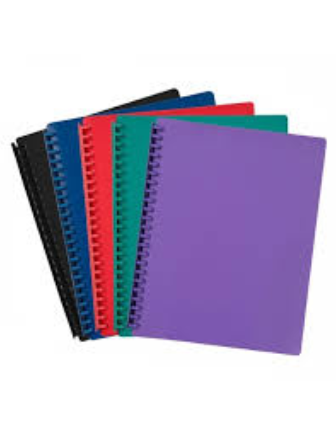 PENTA DISPLAY BOOK A4 20PKTS ASS CLRS